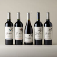 Bonterra Collection Red Wines