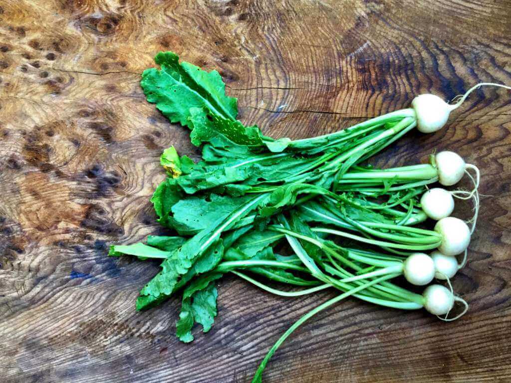 Baby Turnips Bonterra Organic Vineyards