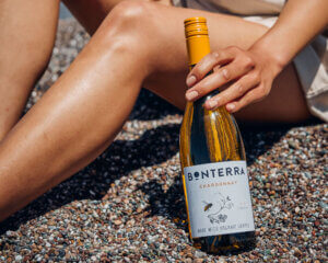 chardonnay vs sauvignon blanc which one is right for you bonterra blog post